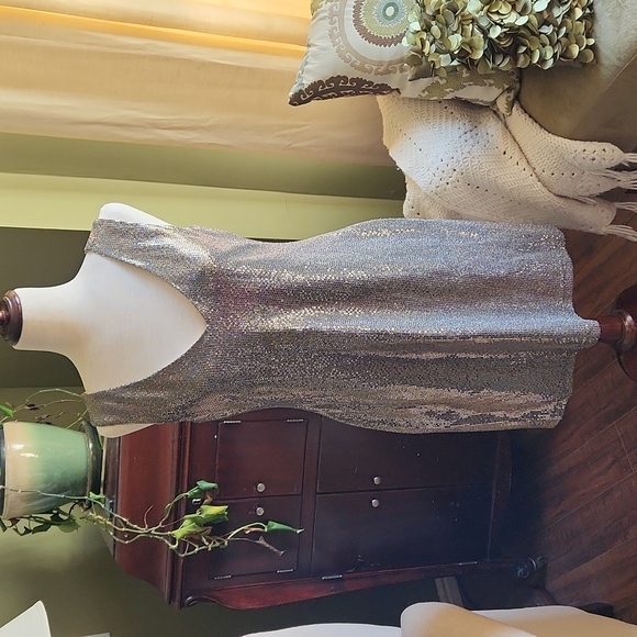 connected apparel Dresses & Skirts - Brand New Connected Apparel Silver And Gold Metallic Sleeveless Dress-Size 8P